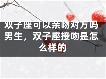 双子座可以亲吻对方吗男生，双子座接吻是怎么样的