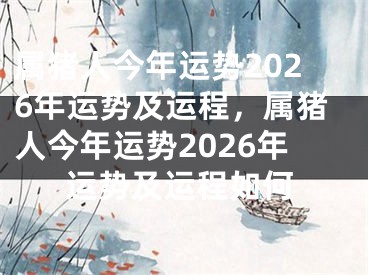 属猪人今年运势2026年运势及运程，属猪人今年运势2026年运势及运程如何