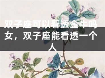 双子座可以看透金牛吗女，双子座能看透一个人