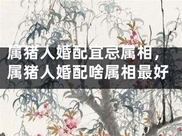 属猪人婚配宜忌属相，属猪人婚配啥属相最好