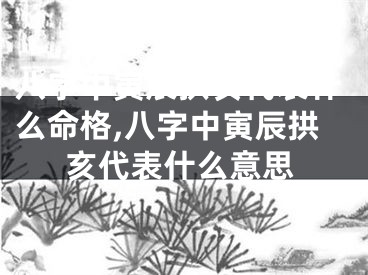 八字中寅辰拱亥代表什么命格,八字中寅辰拱亥代表什么意思