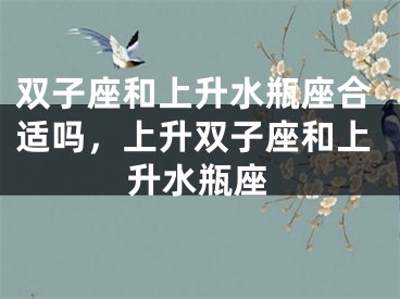 双子座和上升水瓶座合适吗，上升双子座和上升水瓶座