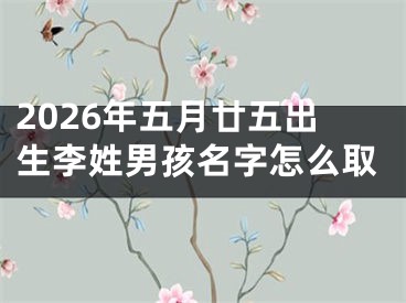 2026年五月廿五出生李姓男孩名字怎么取