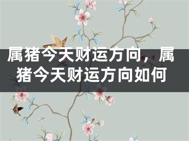 属猪今天财运方向，属猪今天财运方向如何