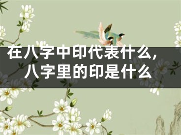 在八字中印代表什么,八字里的印是什么