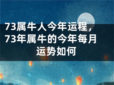 73属牛人今年运程，73年属牛的今年每月运势如何