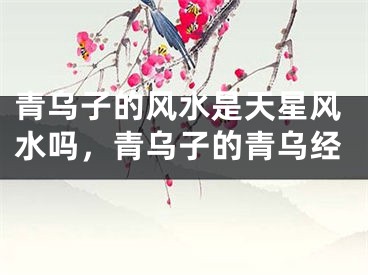 青乌子的风水是天星风水吗，青乌子的青乌经