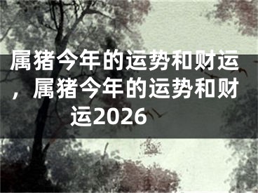 属猪今年的运势和财运，属猪今年的运势和财运2026