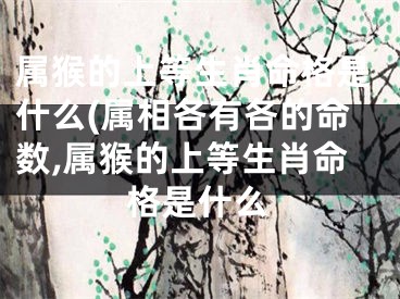 属猴的上等生肖命格是什么(属相各有各的命数,属猴的上等生肖命格是什么