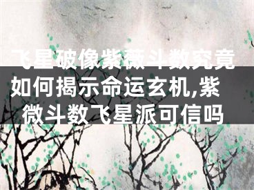飞星破像紫薇斗数究竟如何揭示命运玄机,紫微斗数飞星派可信吗