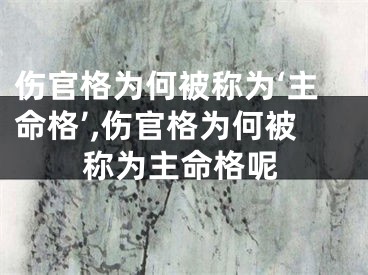 伤官格为何被称为‘主命格’,伤官格为何被称为主命格呢