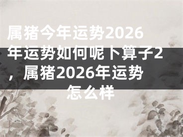 属猪今年运势2026年运势如何呢卜算子2，属猪2026年运势怎么样