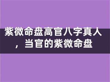 紫微命盘高官八字真人，当官的紫微命盘