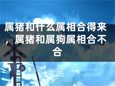 属猪和什么属相合得来，属猪和属狗属相合不合