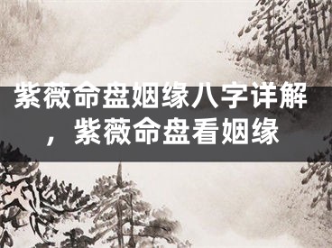 紫薇命盘姻缘八字详解，紫薇命盘看姻缘