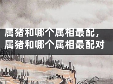 属猪和哪个属相最配，属猪和哪个属相最配对