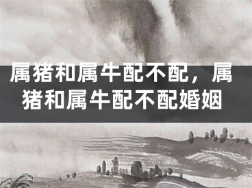 属猪和属牛配不配，属猪和属牛配不配婚姻