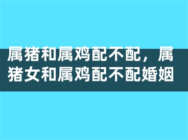 属猪和属鸡配不配，属猪女和属鸡配不配婚姻