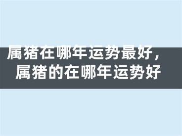 属猪在哪年运势最好，属猪的在哪年运势好