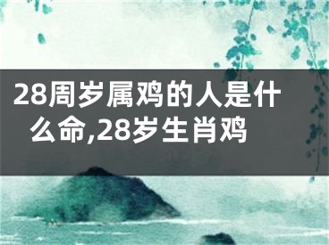 28周岁属鸡的人是什么命,28岁生肖鸡