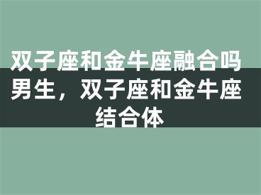 双子座和金牛座融合吗男生，双子座和金牛座结合体