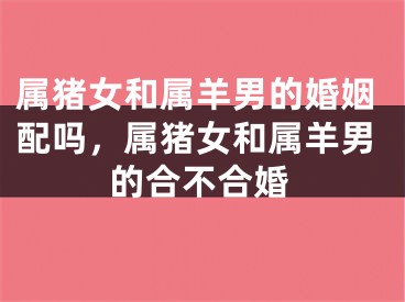 属猪女和属羊男的婚姻配吗，属猪女和属羊男的合不合婚