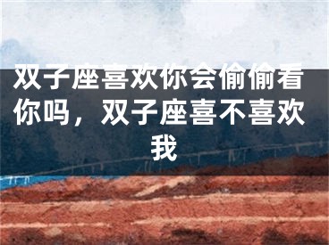 双子座喜欢你会偷偷看你吗，双子座喜不喜欢我