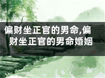 偏财坐正官的男命,偏财坐正官的男命婚姻