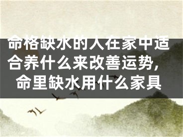 命格缺水的人在家中适合养什么来改善运势,命里缺水用什么家具