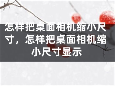 怎样把桌面相机缩小尺寸,怎样把桌面相机缩小尺寸显示