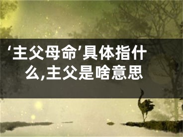‘主父母命’具体指什么,主父是啥意思