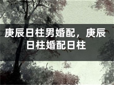 庚辰日柱男婚配，庚辰日柱婚配日柱