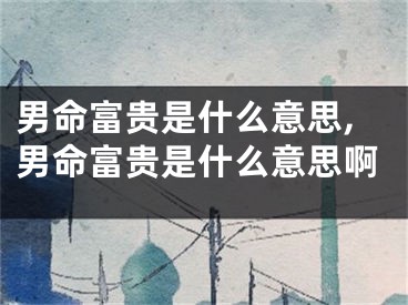 男命富贵是什么意思,男命富贵是什么意思啊