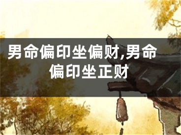 男命偏印坐偏财,男命偏印坐正财