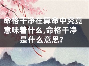 命格干净在算命中究竟意味着什么,命格干净是什么意思?