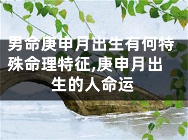 男命庚申月出生有何特殊命理特征,庚申月出生的人命运