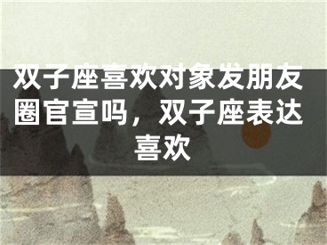 双子座喜欢对象发朋友圈官宣吗，双子座表达喜欢