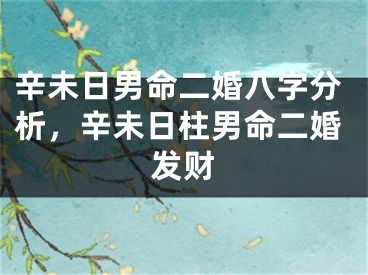 辛未日男命二婚八字分析，辛未日柱男命二婚发财