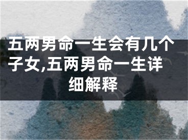 五两男命一生会有几个子女,五两男命一生详细解释