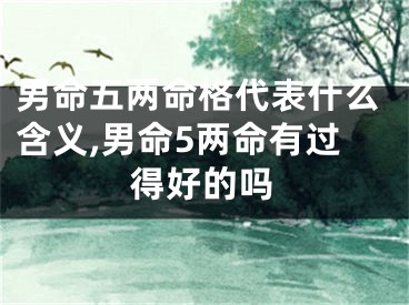 男命五两命格代表什么含义,男命5两命有过得好的吗