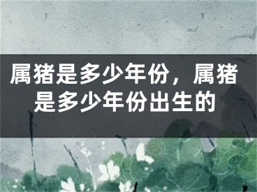 属猪是多少年份，属猪是多少年份出生的