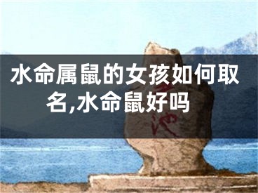 水命属鼠的女孩如何取名,水命鼠好吗
