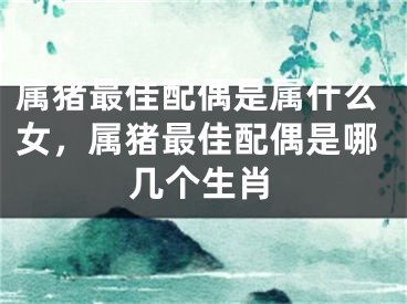 属猪最佳配偶是属什么女,属猪最佳配偶是哪几个生肖