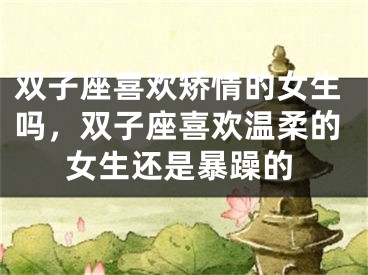 双子座喜欢矫情的女生吗,双子座喜欢温柔的女生还是暴躁的