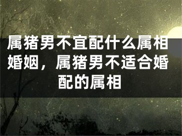 属猪男不宜配什么属相婚姻，属猪男不适合婚配的属相