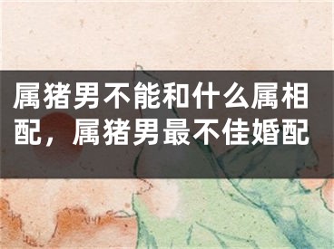 属猪男不能和什么属相配，属猪男最不佳婚配