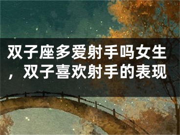 双子座多爱射手吗女生，双子喜欢射手的表现