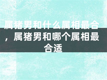 属猪男和什么属相最合，属猪男和哪个属相最合适