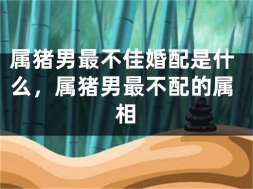 属猪男最不佳婚配是什么，属猪男最不配的属相