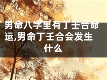 男命八字里有丁壬合命运,男命丁壬合会发生什么
